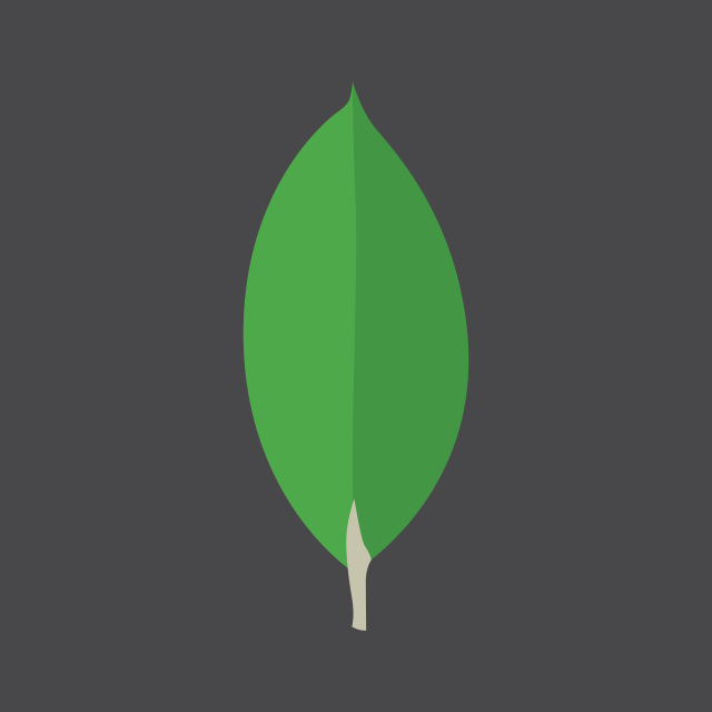 MongoDB, Inc.